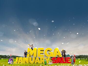 Mega January Sale